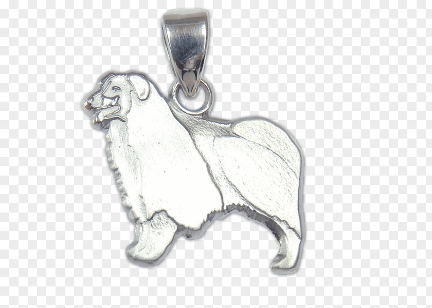 Necklace Locket Airedale Terrier Bearded Collie Australian Shepherd Charms & Pendants PNG