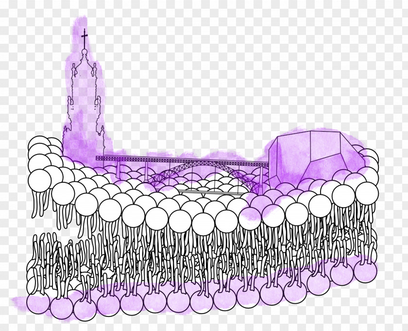 Agricultural Research Updates Molecular Biophysics Biology Biological Membrane PNG