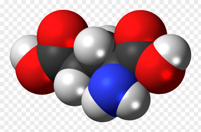 Glutamic Acid Glutamine Amino Glutamate Space-filling Model PNG