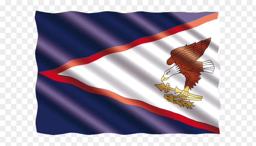 Independence Day Bird Veterans American Flag PNG