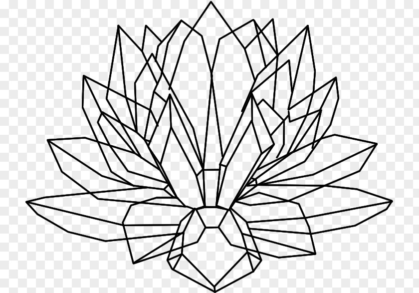 Lotus Seeds Drawing Crystal Cluster Nelumbo Nucifera PNG