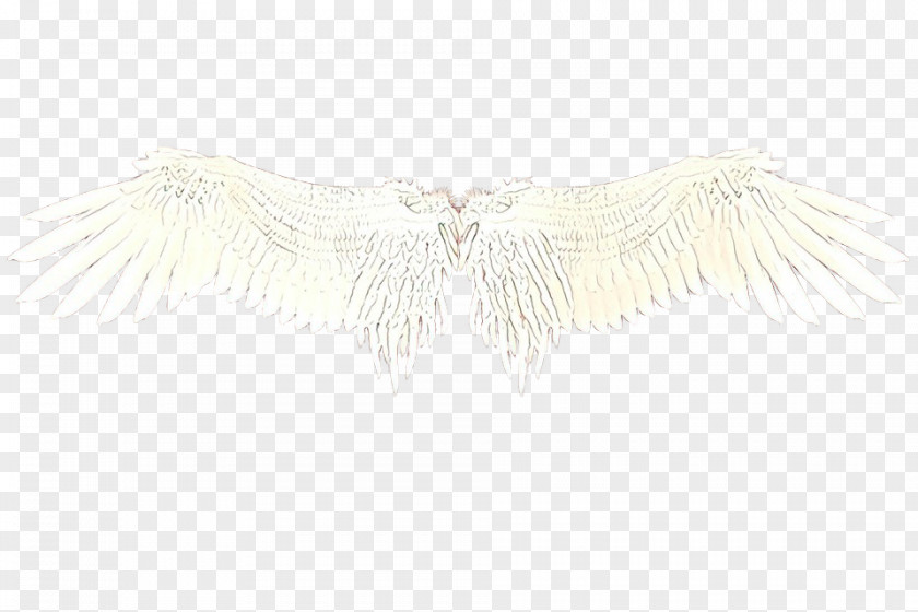 Necklace Angel Feather PNG
