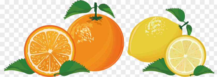 Orange Lemon Material Mandarin Lime Tangelo PNG