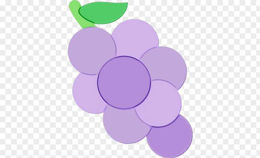 Petal Magenta Grapes Cartoon PNG