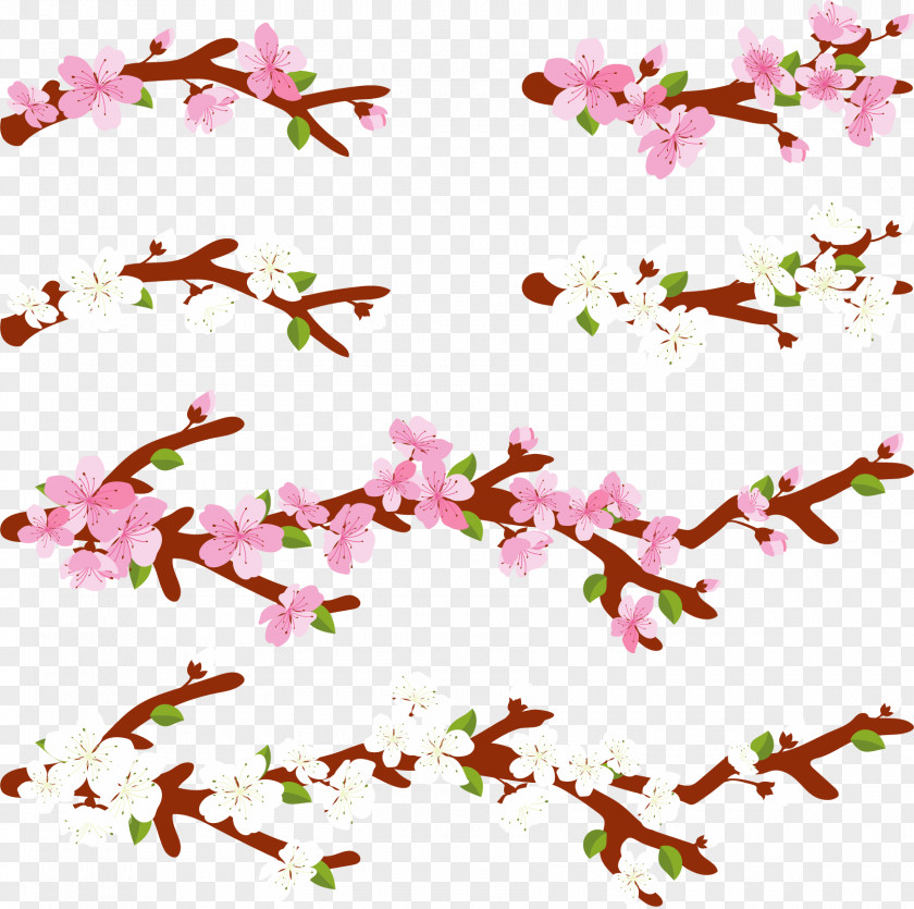 Romantic Cherry Blossoms National Blossom Festival Pink PNG