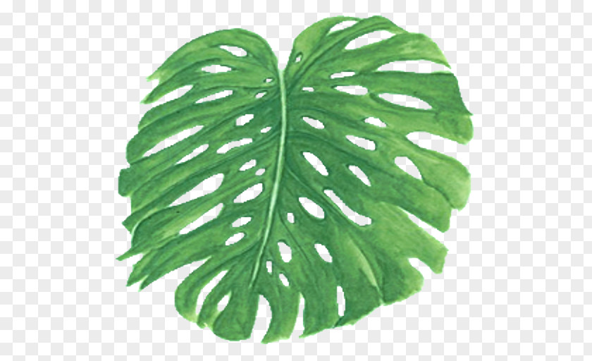 Seamless Leaf Frond Arecaceae Clip Art PNG