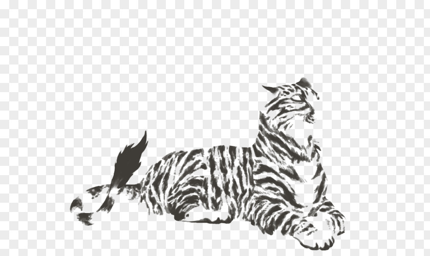 Tiger Whiskers Cat Lion Felidae PNG