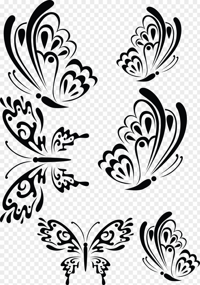 Butterfly Black And White Stencil Drawing Image PNG