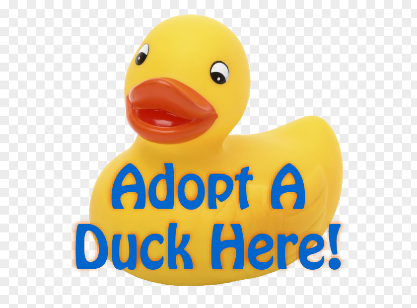 Duck Rubber 2018 Kentucky Derby Adoption Yellow PNG