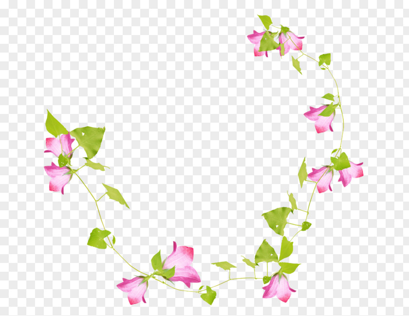 Floral Design Liana Branch Clip Art PNG