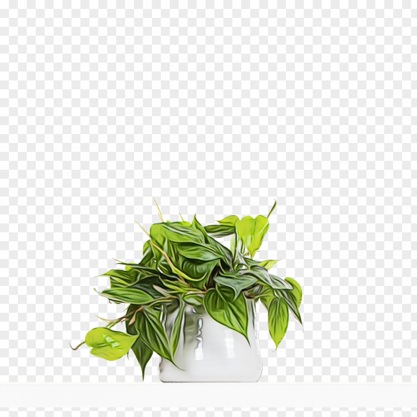 Herbal Medicine Leaf Herb Flowerpot Plant Structure PNG