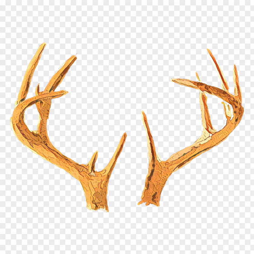 Natural Material Fawn Antler Horn Elk Deer PNG