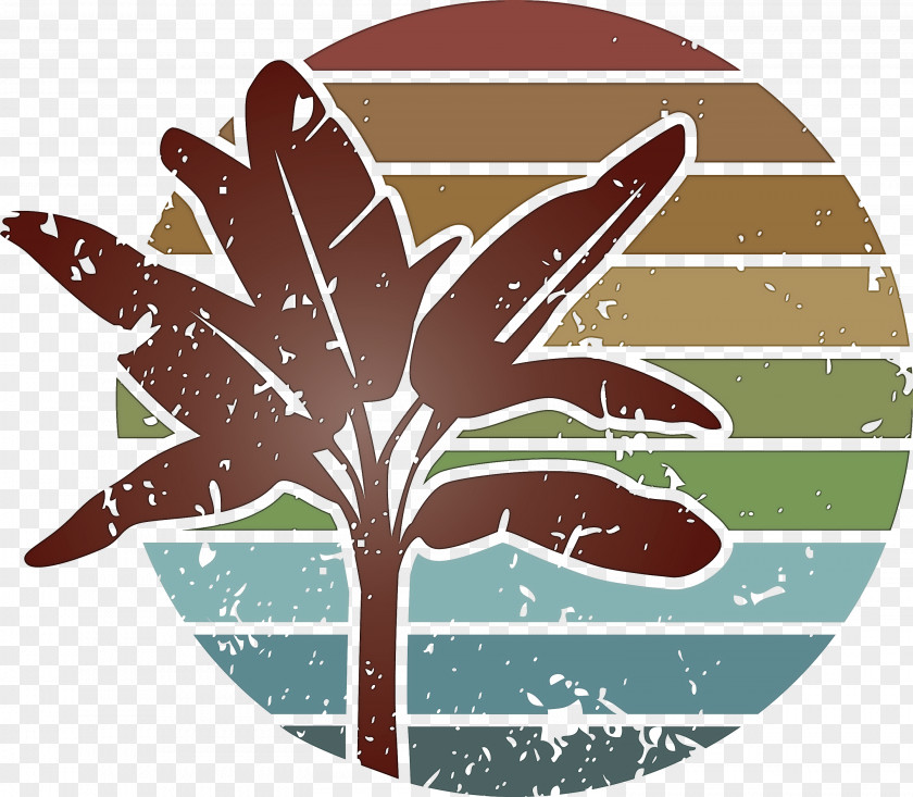 Summer Palm PNG