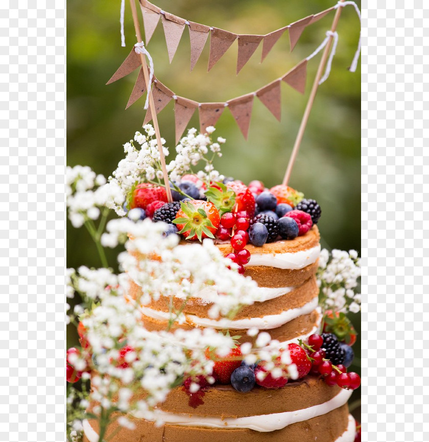 Wedding Cake Buttercream Fruitcake Torte Decorating PNG
