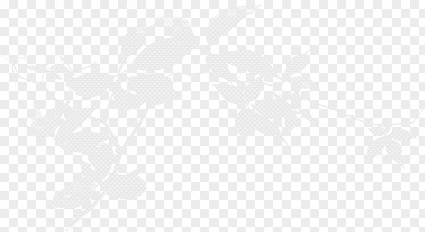Winter Branch Picture Material White Black Pattern PNG