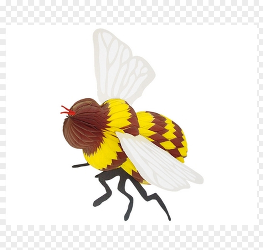 Bee Insect Suckling Pig Grilling White PNG
