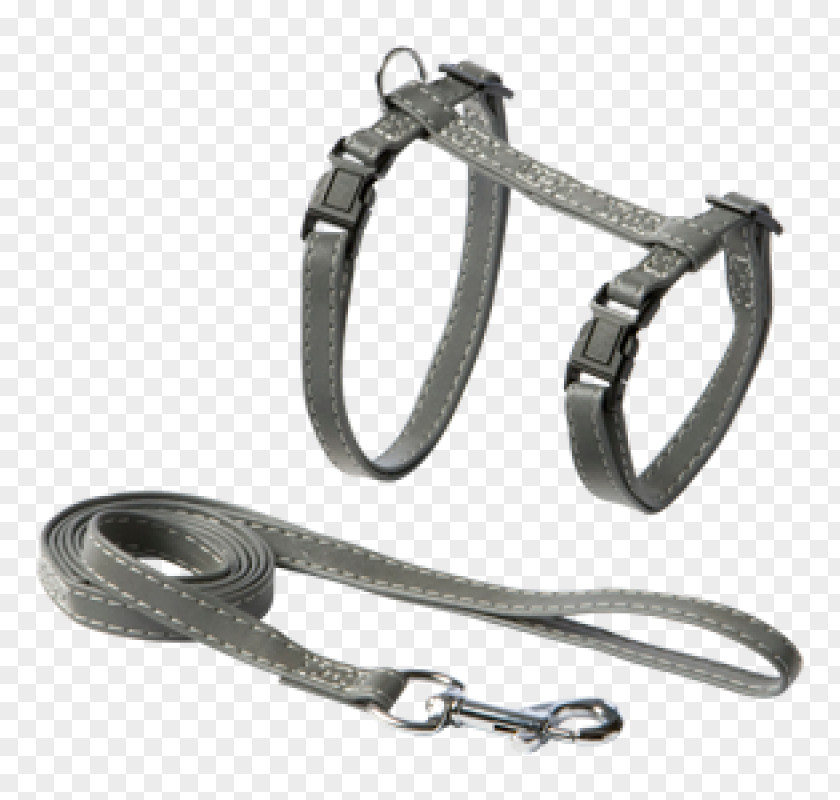 Dog Leash Collar Silver PNG