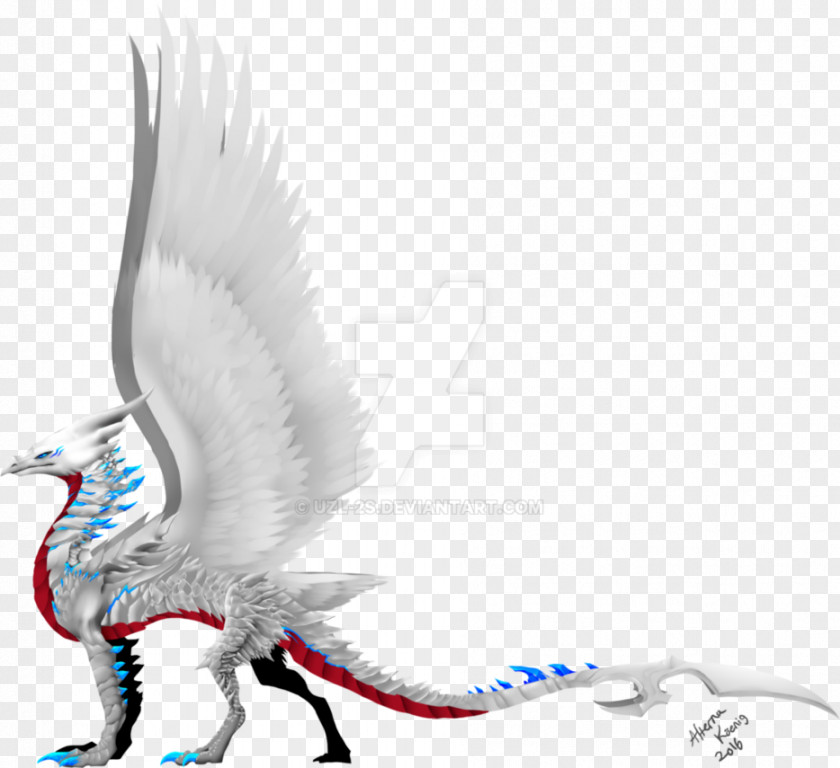 Feather Beak Tail PNG