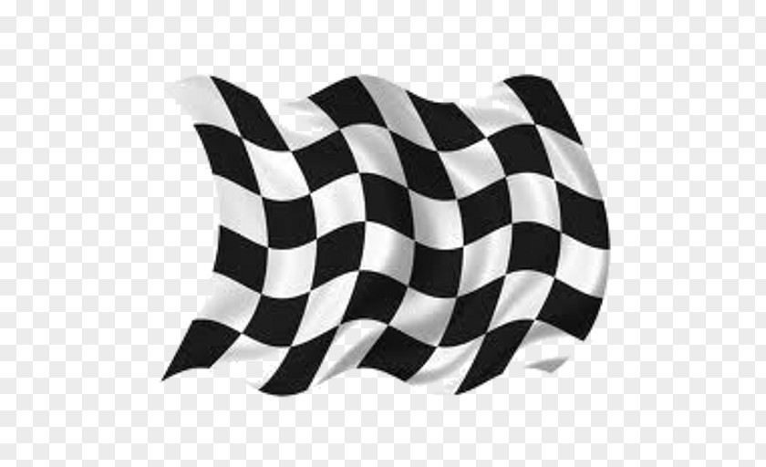 Flag Racing Flags Drapeau à Damier Lucas Oil Speedway Auto PNG