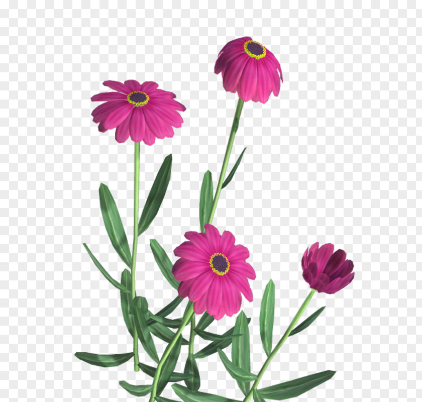 Floral Creative Decorative Icon Flower Clip Art PNG