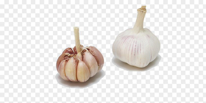 Garlic Shallot Vegetable PNG
