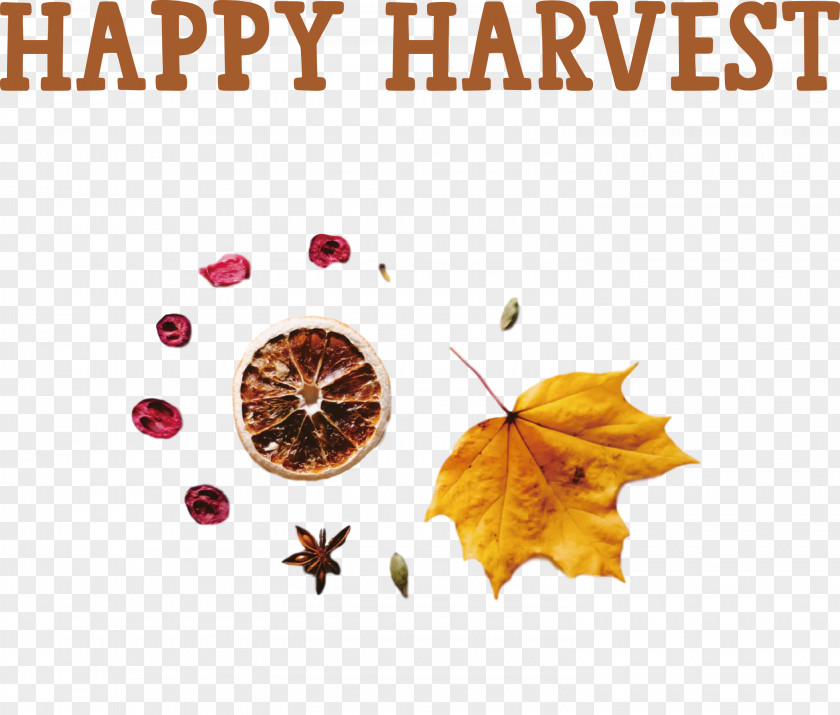 Happy Harvest Harvest Time PNG