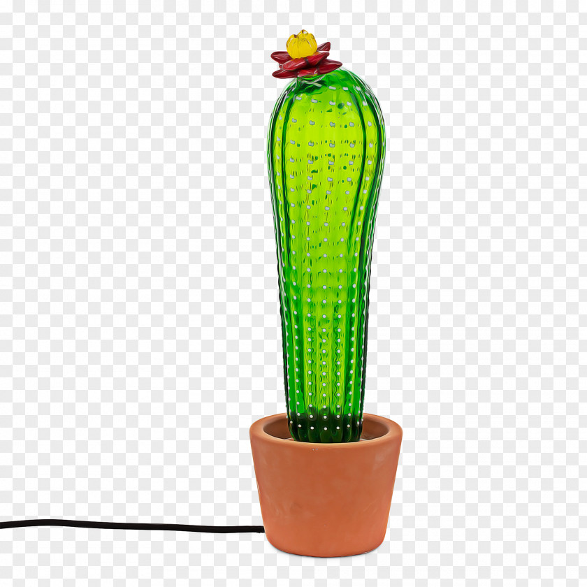 Hedgehog Cactus Saguaro Light Bulb Cartoon PNG