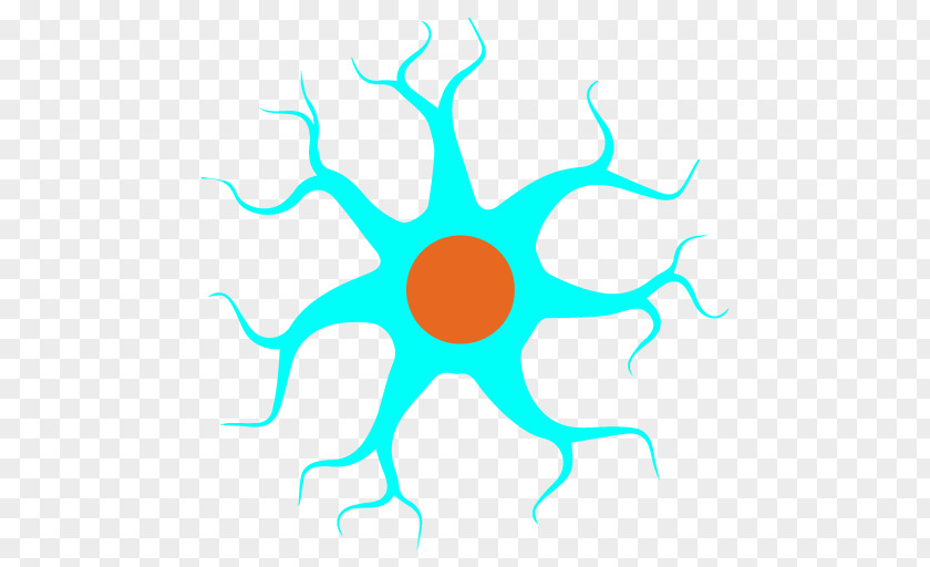 Integumentary System The Neuron Nervous Cell PNG