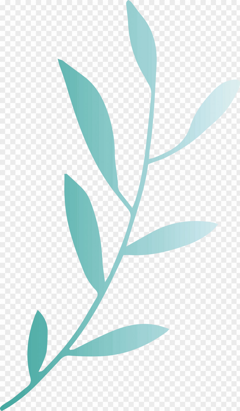 Leaf Branch PNG