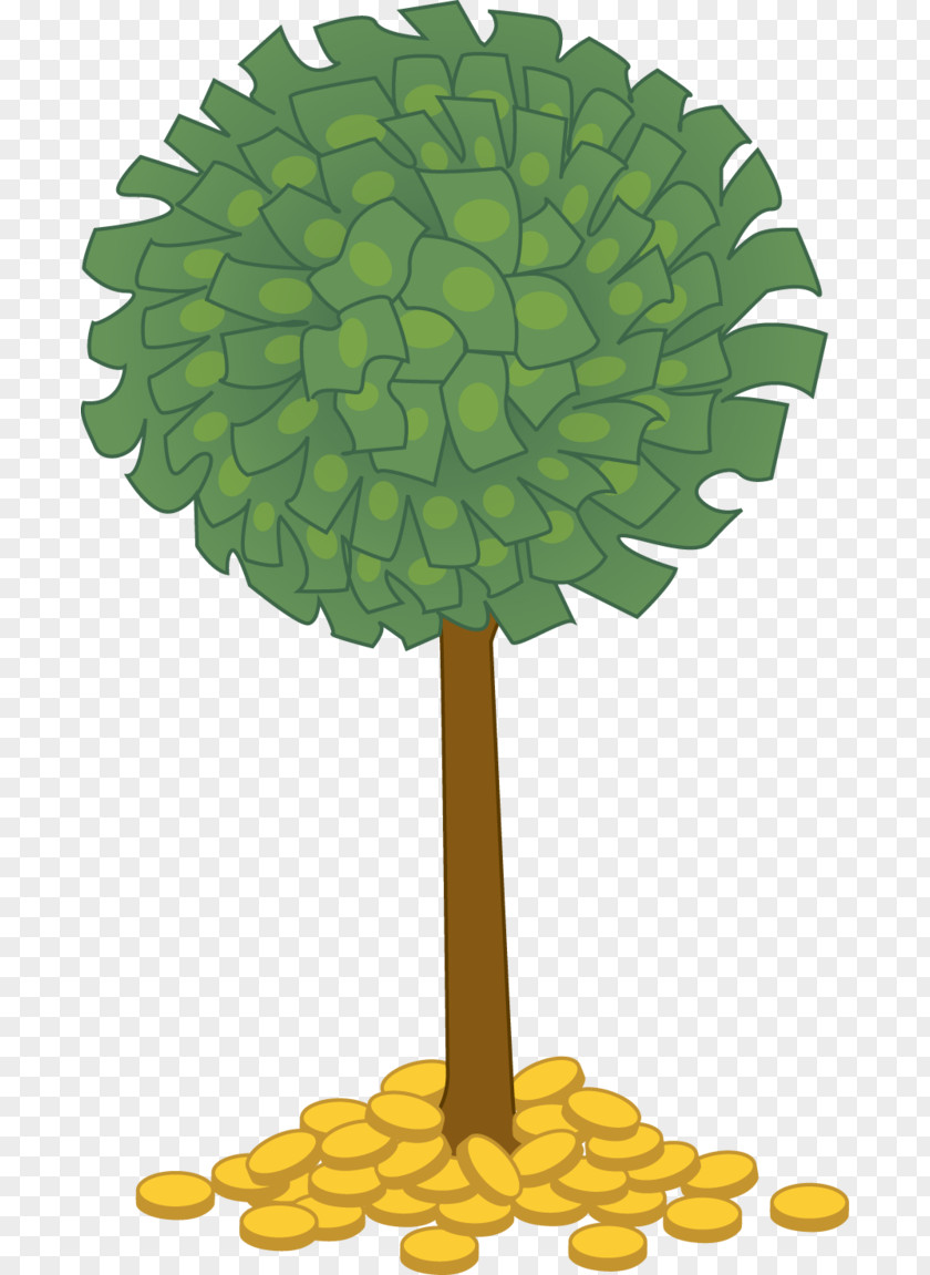Money Trees Cliparts Guiana Chestnut Tree Clip Art PNG
