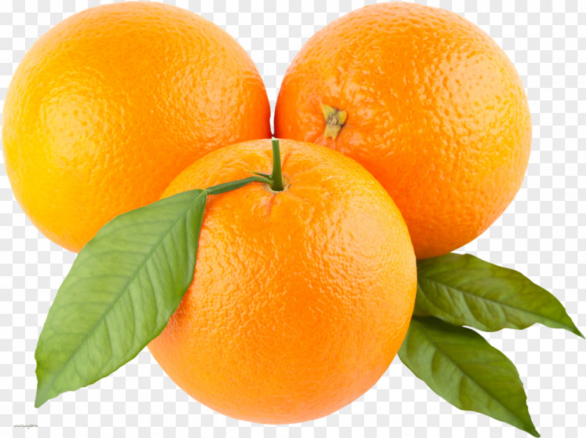 Orange Picture Clip Art PNG