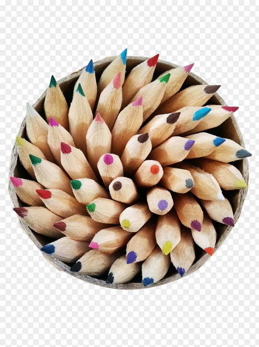 Pencil Lily By Any Other Name All In Book Running With Pencils Business PNG