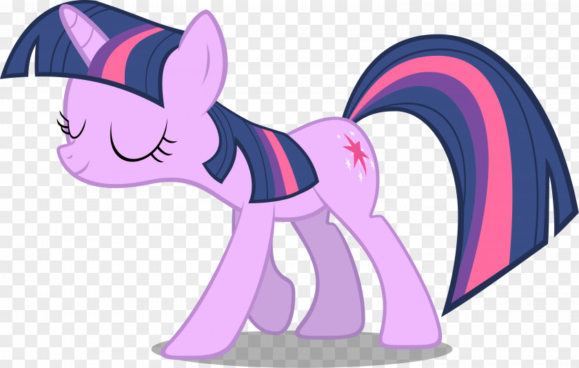Sparkle Vector Pony Rainbow Dash Rarity Horse PNG