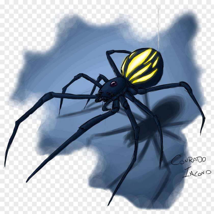 Spider Widow Spiders Angulate Orbweavers STX G.1800E.J.M.V.U.NR YN Insect PNG
