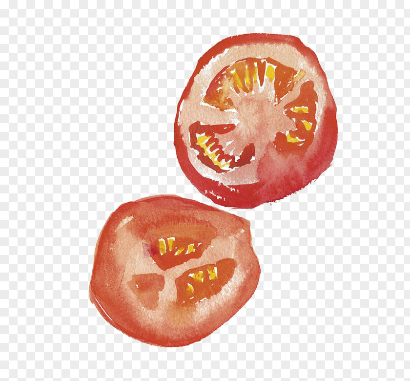 Watercolor Tomato Drawing Painting Art Illustration PNG