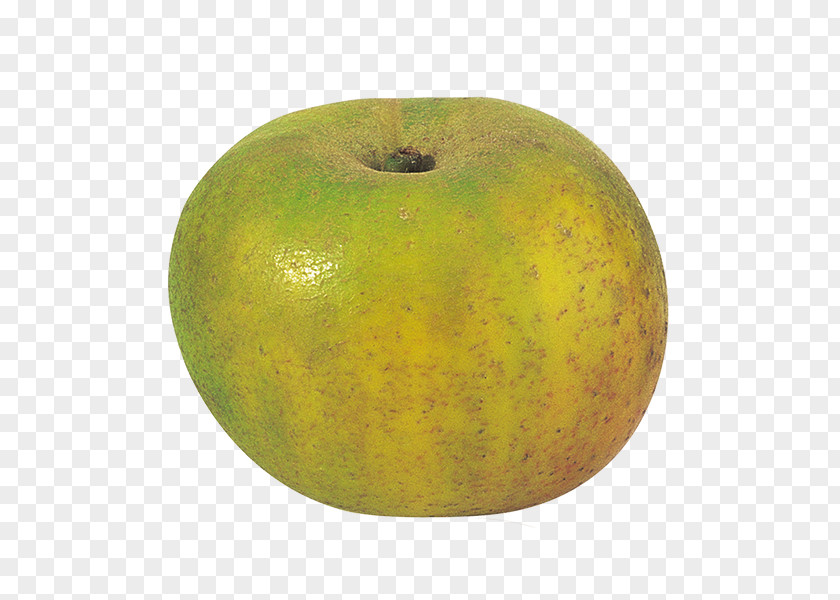 Apple Apples Reinette Clochard Cripps Pink PNG