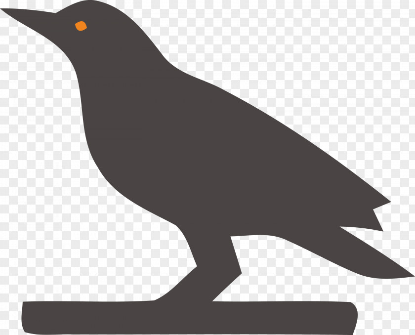 Birds Beak Black And White Silhouette Meter PNG