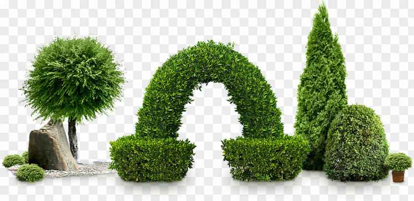 Bushes PNG clipart PNG