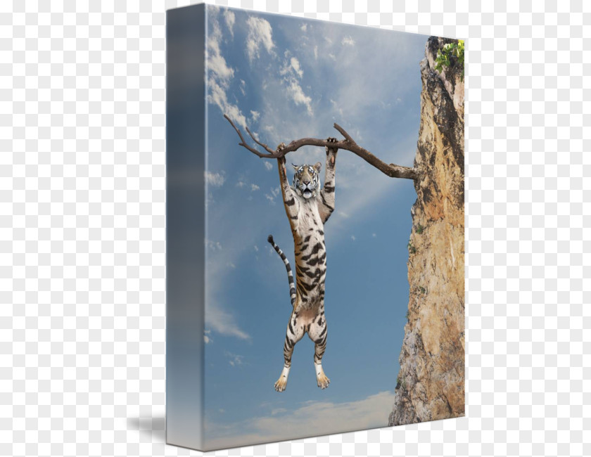 Hang In There Ocelot Tiger Cat Gallery Wrap Canvas PNG