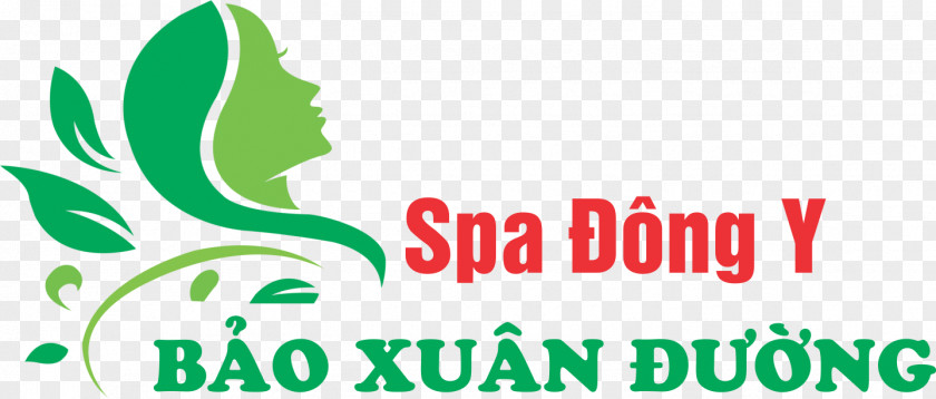 Logo Graphic Design Brand Traditional Chinese Medicine Clip Art PNG