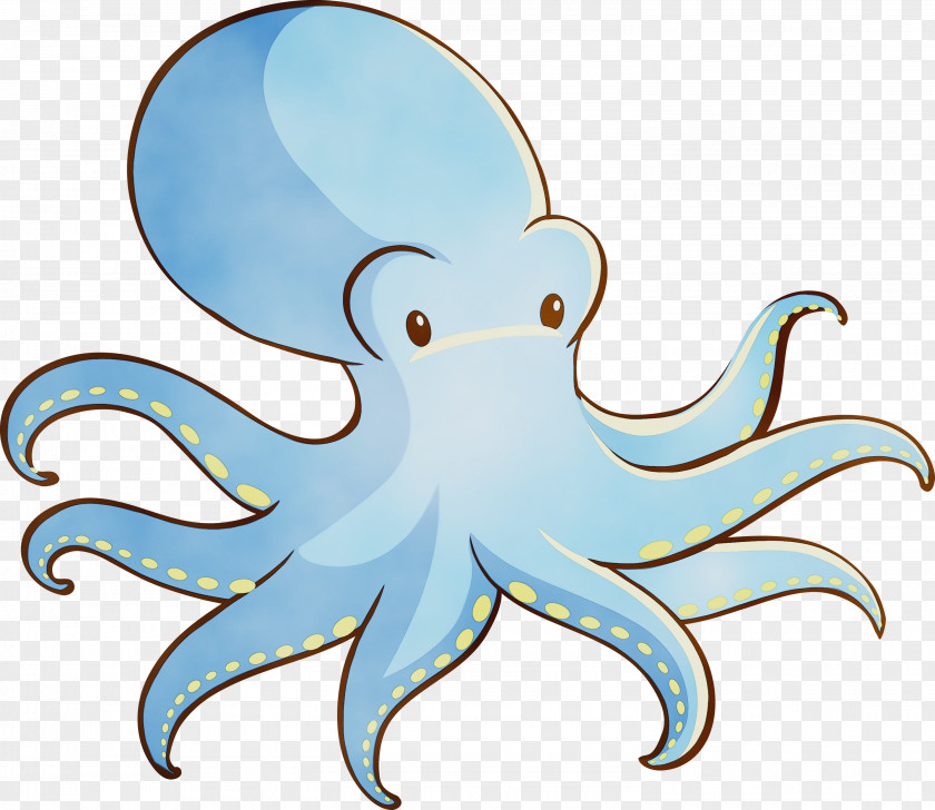 Octopus Giant Pacific Aqua Cartoon PNG