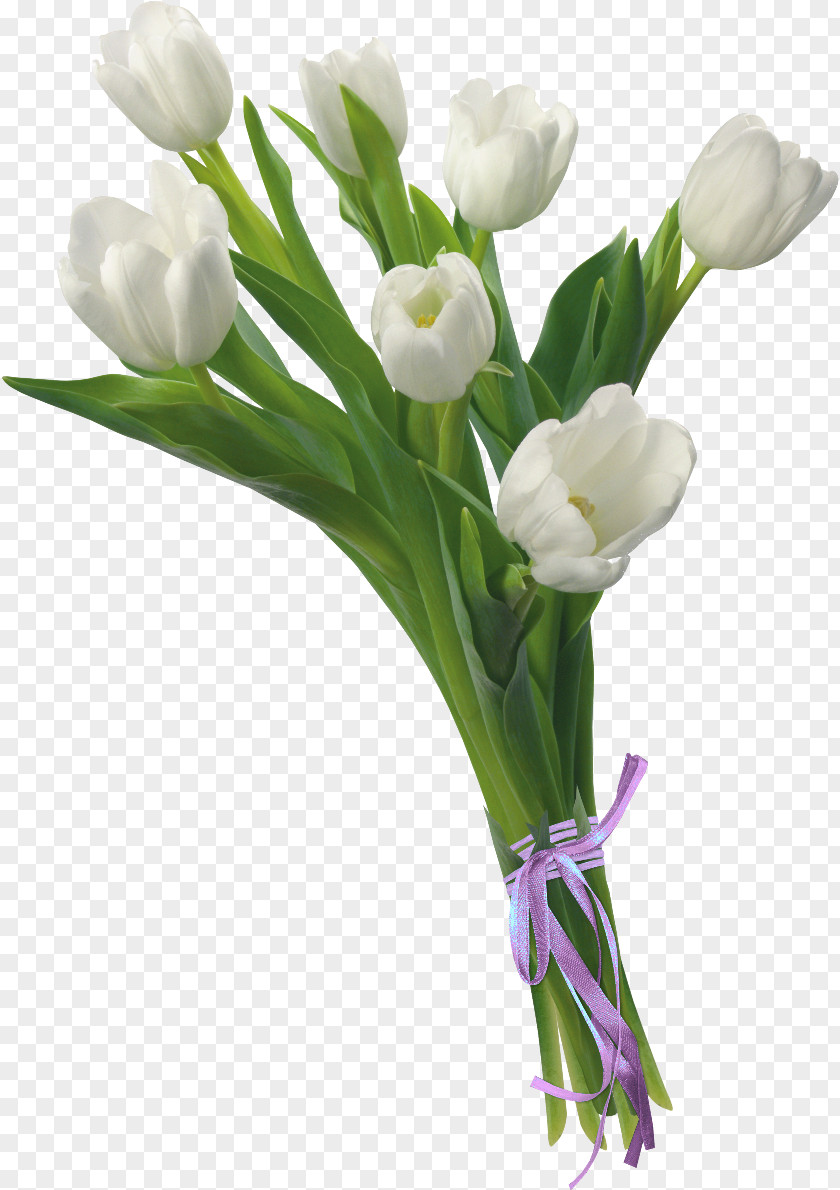 Tulip Floral Design Flower Bouquet Cut Flowers PNG