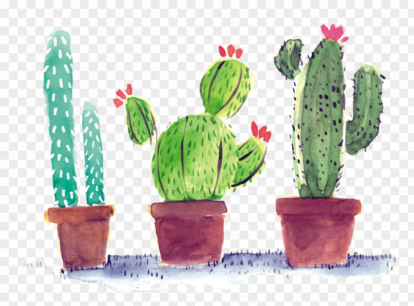 Watercolor Cactus Cactaceae Poster PNG