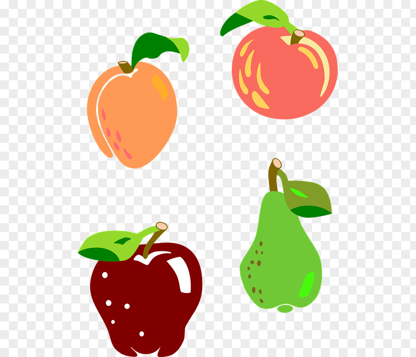 Apricot Asian Pear Fruit Apple PNG