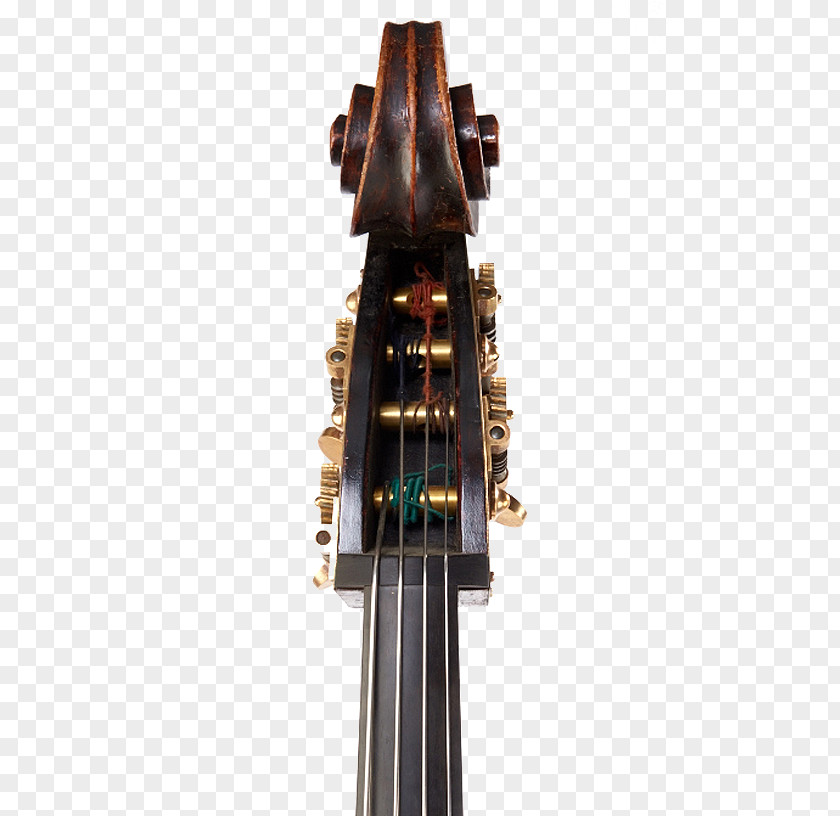 Bass Guitar Cello Double Musical Instruments Photography PNG
