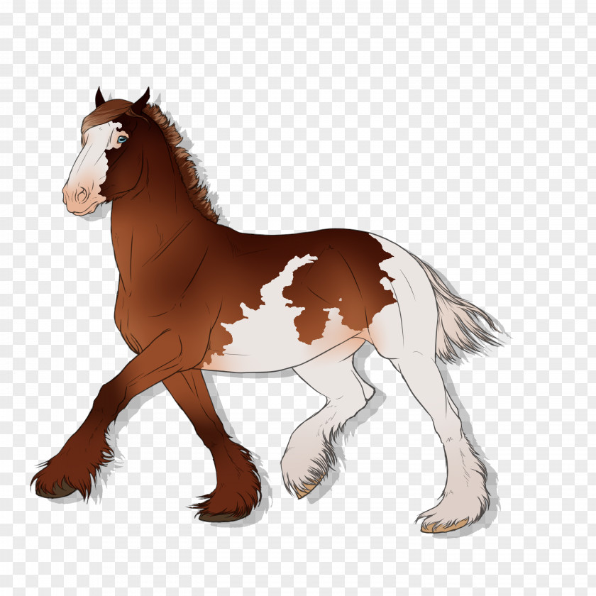 Canter And Gallop Mane Mustang Foal Stallion Colt PNG