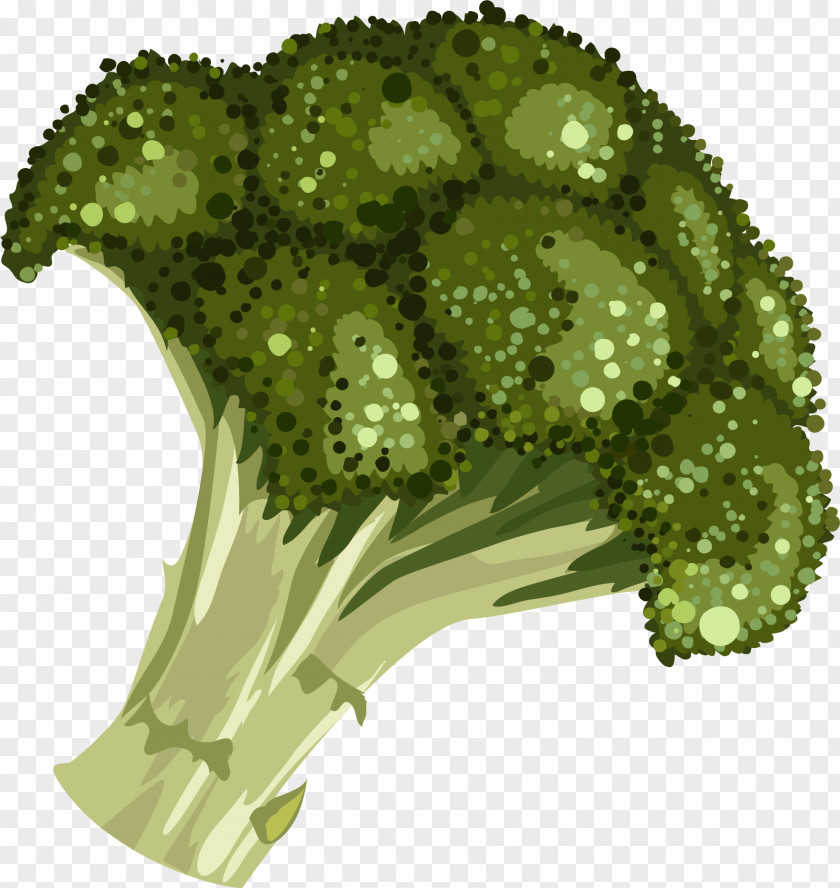 Cartoon Hand-painted Broccoli Drawing Royalty-free Illustration PNG