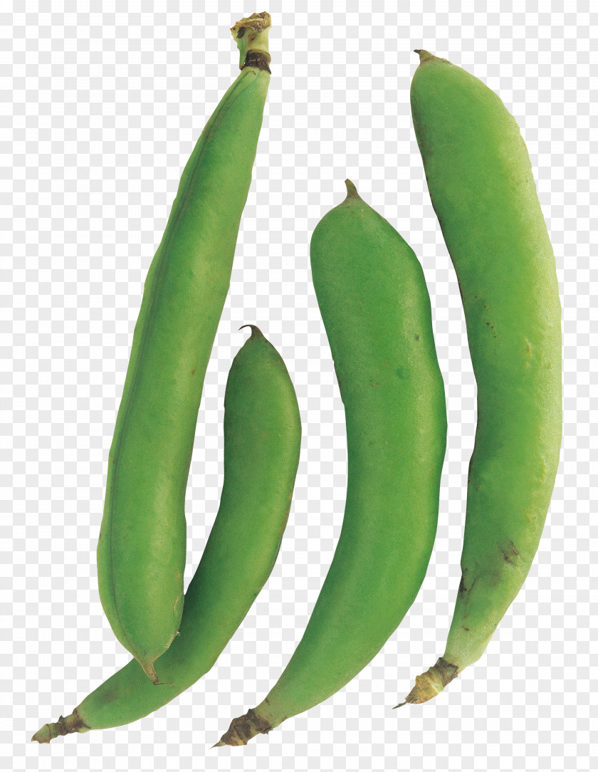 Fruit Runner Bean Banana PNG