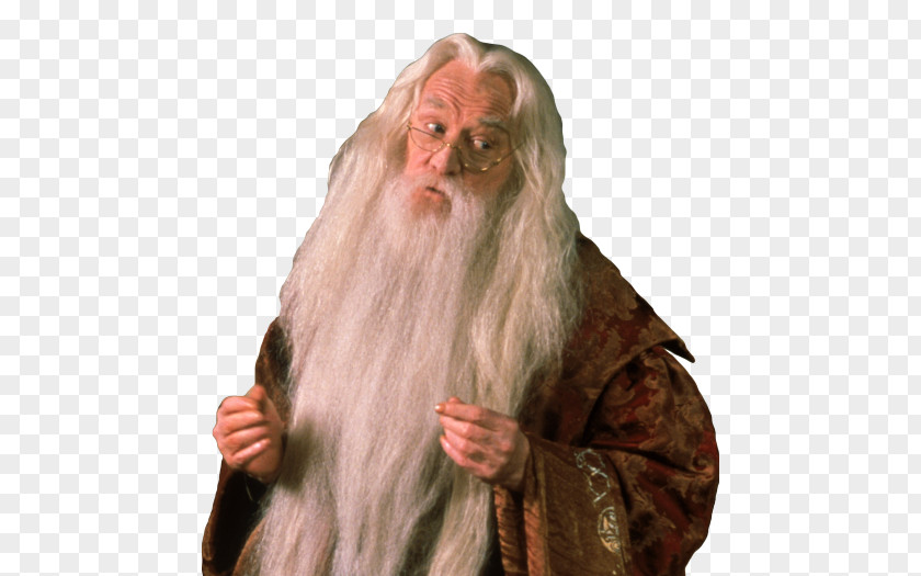 Harry Potter Albus Dumbledore And The Philosopher's Stone Professor Severus Snape Lord Voldemort PNG