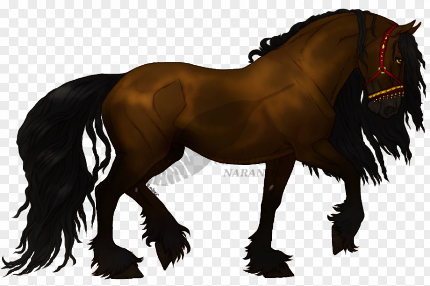 Mustang Friesian Horse Mane Stallion Mare PNG